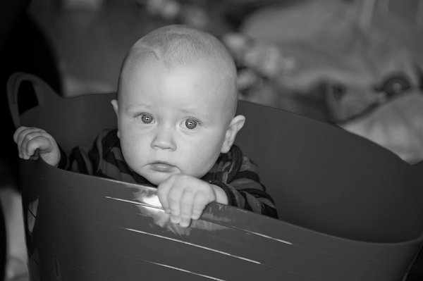 Gal_131805_0103 copy